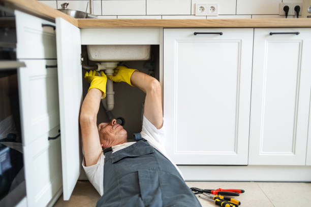 Best Clogged Drain Plumber  in Walsenburg, CO