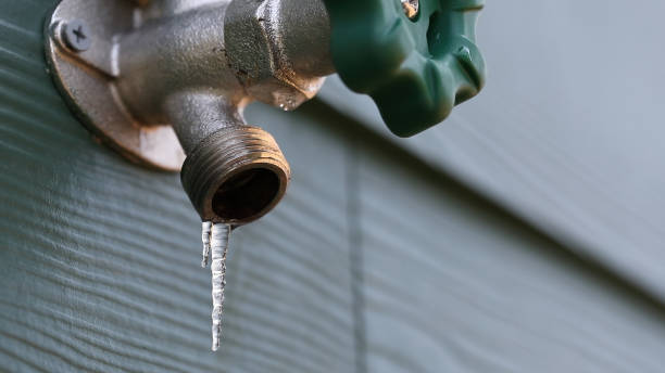 Best Local Plumber Services  in Walsenburg, CO